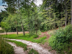 Rückweg bergab nach Algersdorf