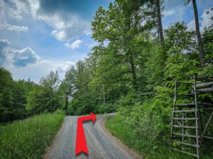 Nach dem Jägerhochsitz nach rechts in den Wald