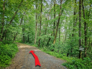 Gerade auf dem breiten Schotterweg bergab