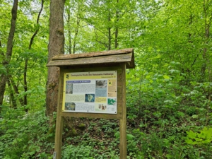 Schild Geologiepunkt