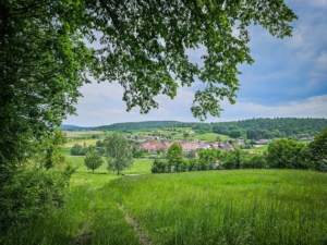 Am Waldrand oberhalb von Bramberg