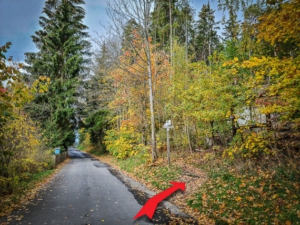 N-Weg biegt als Wanderpfad rechts ab