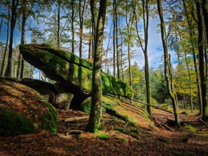 Zigeunerstein Wackelstein am Großen Kornberg im Fichtelgebirge