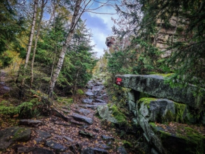 Felsen unter der Ruine Hirschstein