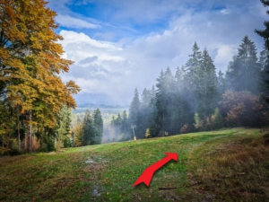 Auf halber Höhe der Ski-Abfahrt-Piste nach rechts in den Wald