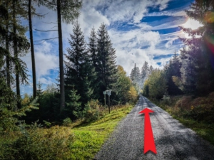 Auf dem breiten Forstweg immer geradeaus