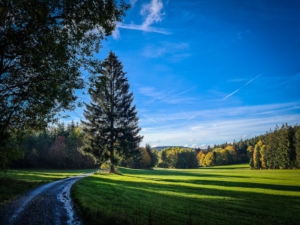 Vor Niederlamitz außerhalb des Waldes