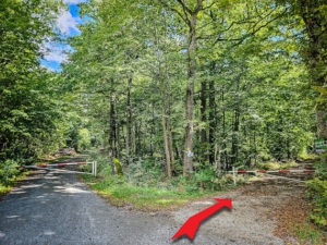 Gleich am Anfang der Tour den rechten Weg mit Reh-Symbol wählen - genannt „Bodenschlagweg“