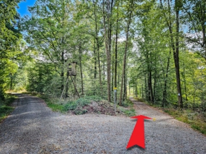 Nach den ersten 100 Metern an Gabelung nach rechts gehen