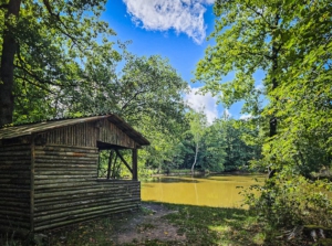 Ausblick auf den trüben, aber idyllisch umrahmten Hirschteich