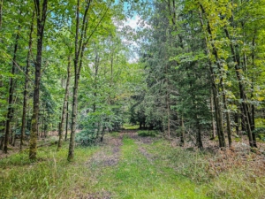 Keine Wegweiser, aber Landstraße in Sichtweite