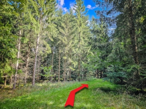 Auf einer schmalen Wiesen-Lichtung rechts halten