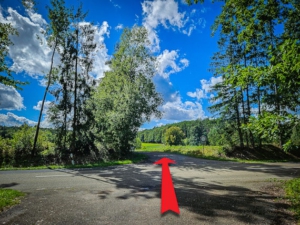 Die Landstraße in Richtung Altmühlquelle überqueren