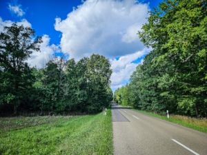 Der Hauptstraße in den Wald hinein folgen