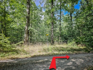 Auf den nächsten Forstweg nach rechts einbiegen