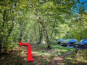 Am zweiten Wanderparkplatz nach links in den Wald abbiegen