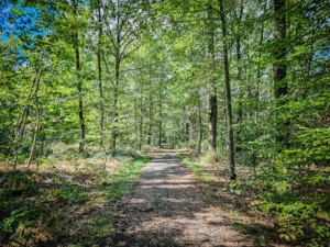 Weg an der Bergkante entlang