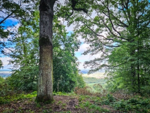 Aussichtspunkt an der Stelle des Teufelshäusels