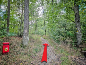 Weg vom ehemaligen Teufelshäusl aus weiter in den Wald