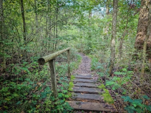 Über kleine Holzbrücke hinweg