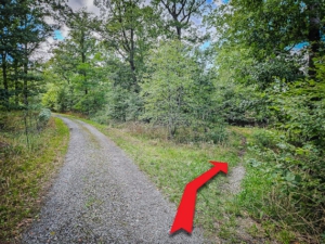 Eulen- und Grün-Balken-Weg führt nach rechts auf einen Pfad