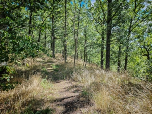 An der südlichen Kante des Schlossbergs entlang