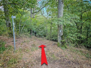 Der Grün-Balken-Weg führt nach unten. Hier geradeaus weiter dem Eulen-Weg folgen.