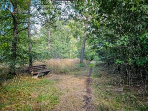 Pfad kommt an Sitzbank vorbei