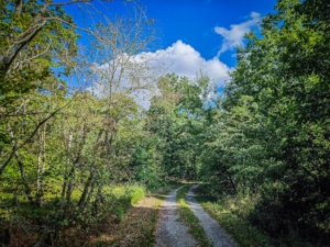Folgen Sie nun diesem Schotterweg der wieder über das Hochplateu führt