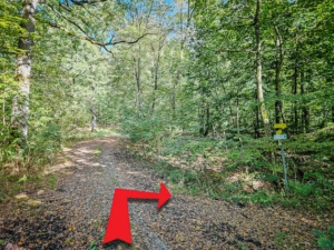 150 Meter nach der letzten Kreuzung nach rechts unten in Richtung Wildbark abbiegen
