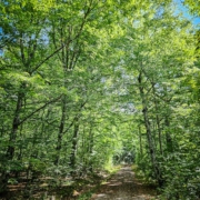 tour-19-galerie-altmuehl-ursprung-2025-141223-min