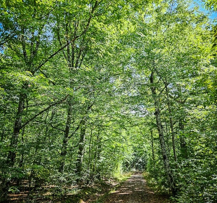 tour-19-galerie-altmuehl-ursprung-2025-141223-min