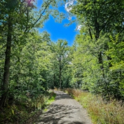 tour-19-galerie-altmuehl-ursprung-2025-141432-min