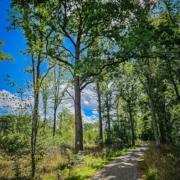 tour-19-galerie-altmuehl-ursprung-2025-141729-min