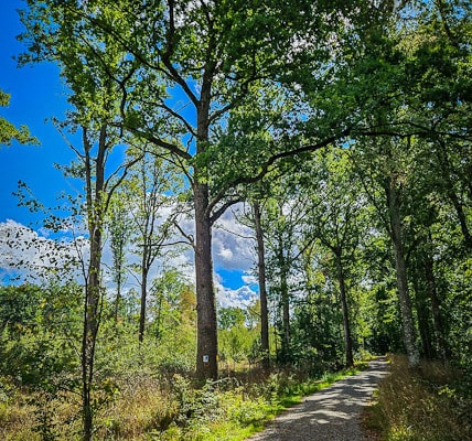 tour-19-galerie-altmuehl-ursprung-2025-141729-min