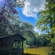 tour-19-galerie-altmuehl-ursprung-2025-141954-min