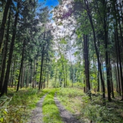 tour-19-galerie-altmuehl-ursprung-2025-143438-min