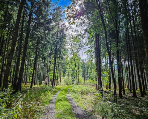 tour-19-galerie-altmuehl-ursprung-2025-143438-min