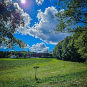 tour-19-galerie-altmuehl-ursprung-2025-143923-min