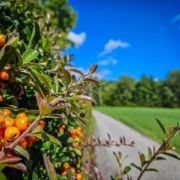 tour-19-galerie-altmuehl-ursprung-2025-144318-min