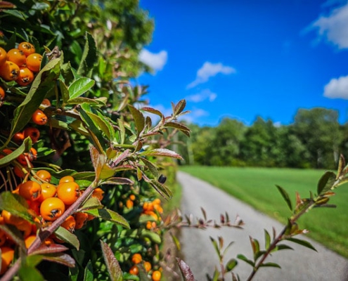 tour-19-galerie-altmuehl-ursprung-2025-144318-min