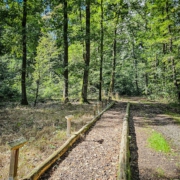 tour-19-galerie-altmuehl-ursprung-2025-151424-min