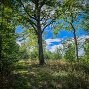 tour-19-galerie-altmuehl-ursprung-2025-153540-min