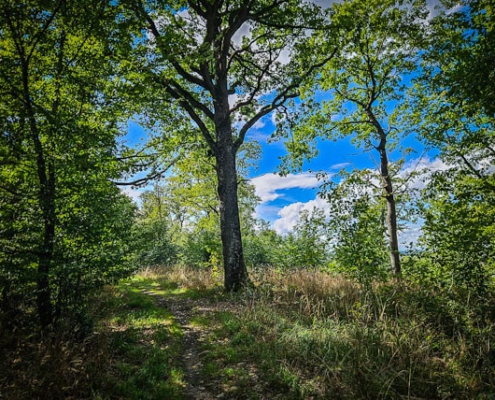 tour-19-galerie-altmuehl-ursprung-2025-153540-min