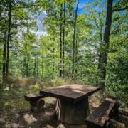 tour-19-galerie-altmuehl-ursprung-2025-153749-min