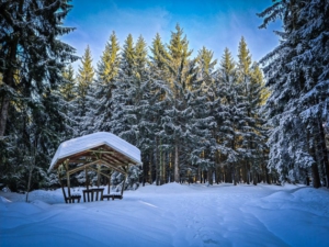 An Rasthütte vorbei