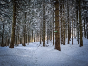 An Abstecher zum Thüringen-Blick vorbei