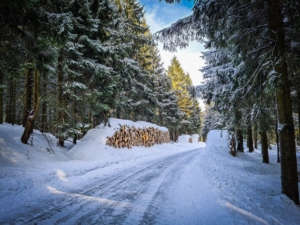 Dem Fahrweg vom Bleßberg herab folgen