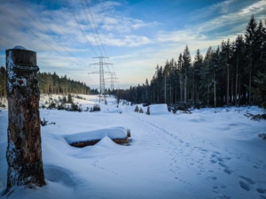 Weg am Rand der Schneise bergab