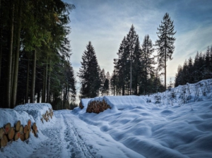 Langer Weg am Hang entlang